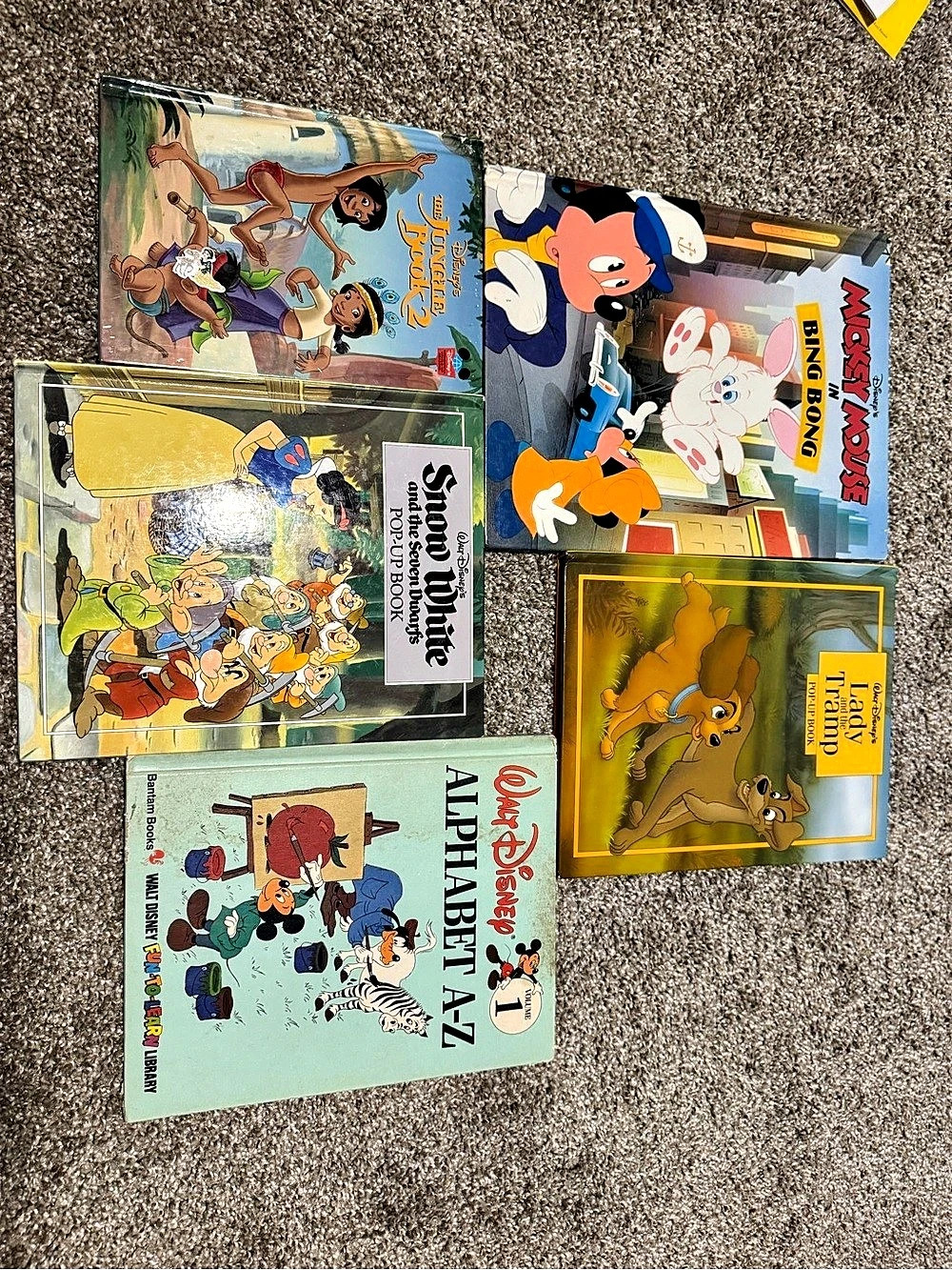 Older Disney storybook set Multicolor